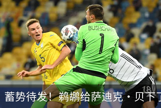 蓄势待发！鹈鹕给萨迪克·贝下了长约，未来可期